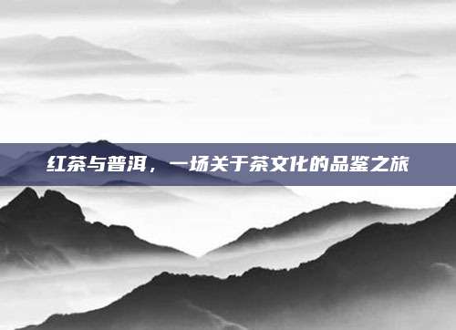 红茶与普洱，一场关于茶文化的品鉴之旅
