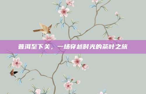 普洱至下关,一场穿越时光的茶叶之旅