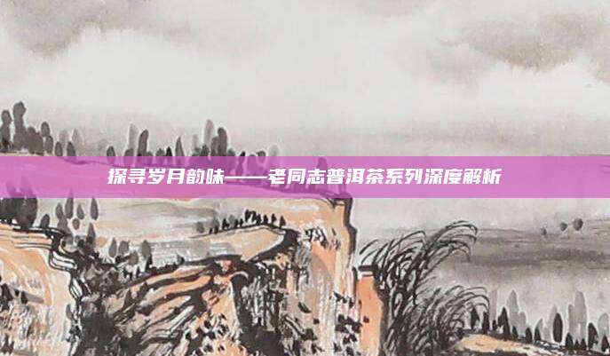 探寻岁月韵味——老同志普洱茶系列深度解析