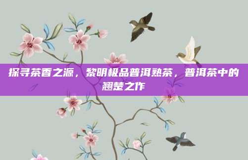 探寻茶香之源，黎明极品普洱熟茶，普洱茶中的翘楚之作