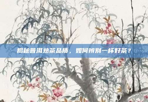 揭秘普洱熟茶品质,如何辨别一杯好茶?