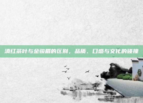 滇红茶叶与金骏眉的区别,品质、口感与文化的碰撞