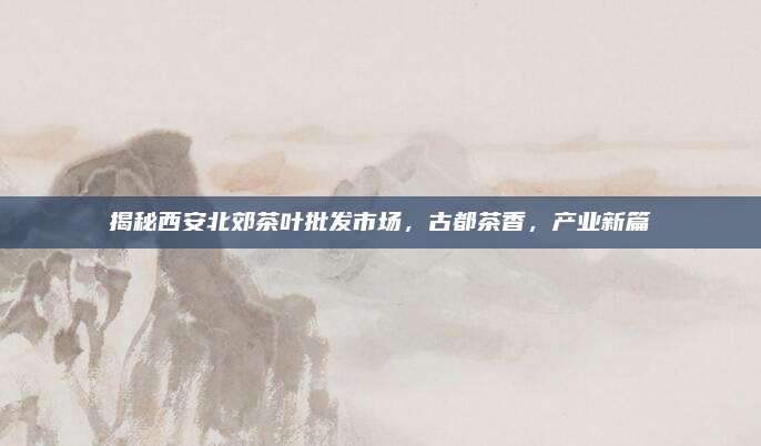 揭秘西安北郊茶叶批发市场,古都茶香,产业新篇