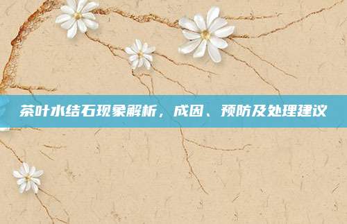 茶叶水结石现象解析,成因、预防及处理建议
