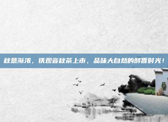 秋意渐浓,铁观音秋茶上市,品味大自然的醇香时光!