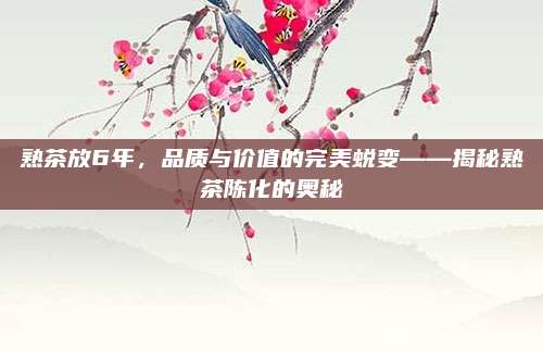 熟茶放6年,品质与价值的完美蜕变——揭秘熟茶陈化的奥秘