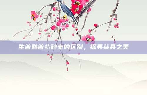 生普熟普紫砂壶的区别，探寻茶具之美