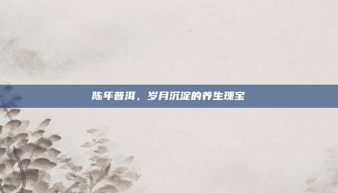 陈年普洱，岁月沉淀的养生瑰宝
