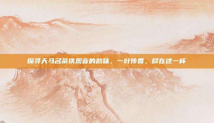 探寻天马名茶铁观音的韵味，一叶传香，尽在这一杯