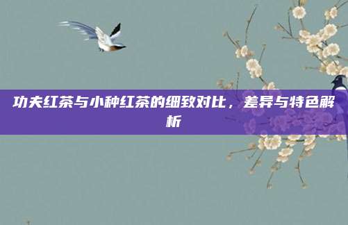 功夫红茶与小种红茶的细致对比，差异与特色解析