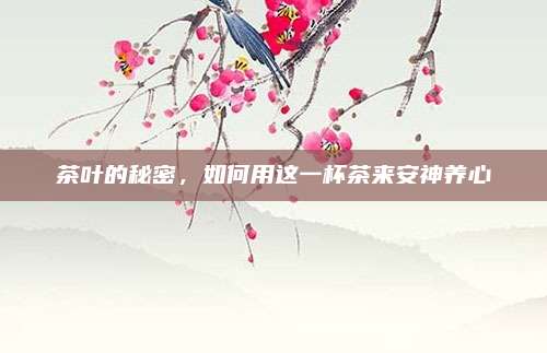 茶叶的秘密，如何用这一杯茶来安神养心