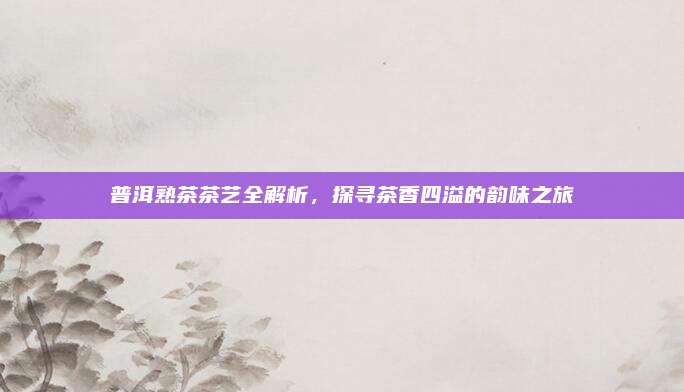 普洱熟茶茶艺全解析,探寻茶香四溢的韵味之旅