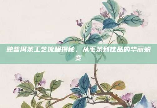 熟普洱茶工艺流程揭秘，从毛茶到佳品的华丽蜕变