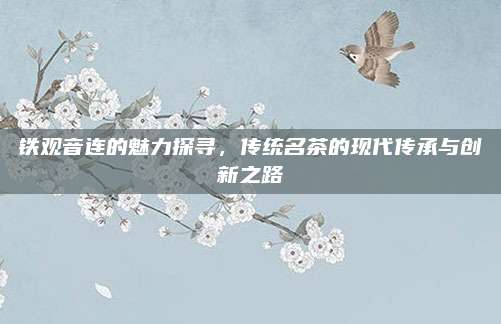 铁观音连的魅力探寻，传统名茶的现代传承与创新之路