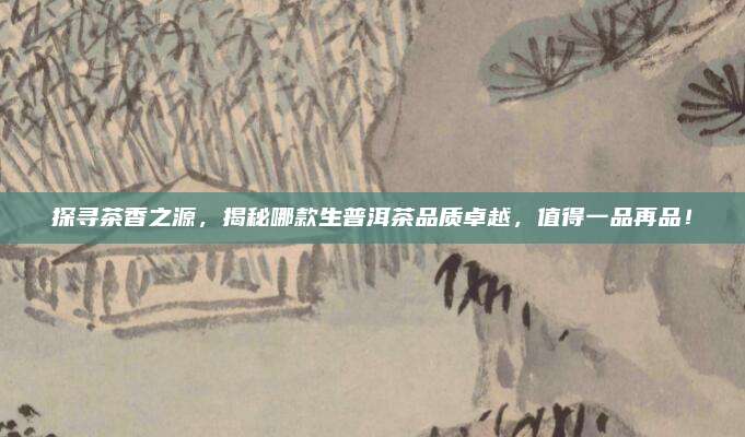 探寻茶香之源,揭秘哪款生普洱茶品质卓越,值得一品再品!