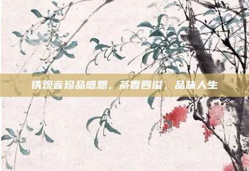 铁观音珍品感恩，茶香四溢，品味人生