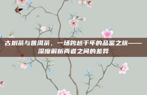 古树茶与普洱茶，一场跨越千年的品鉴之旅——深度解析两者之间的差异