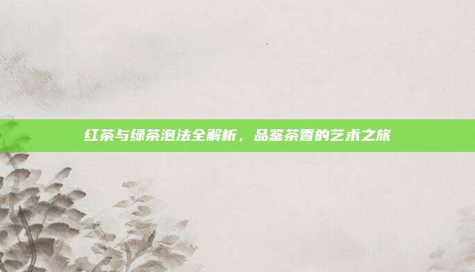 红茶与绿茶泡法全解析,品鉴茶香的艺术之旅