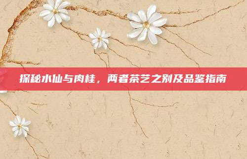 探秘水仙与肉桂，两者茶艺之别及品鉴指南