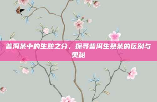 普洱茶中的生熟之分，探寻普洱生熟茶的区别与奥秘