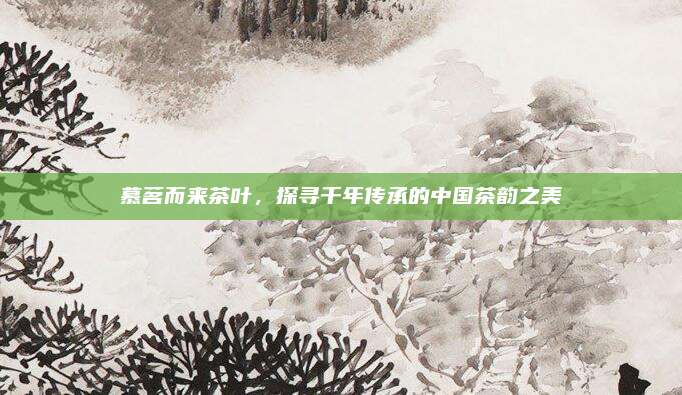 慕茗而来茶叶，探寻千年传承的中国茶韵之美