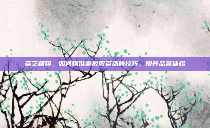 茶艺精粹，如何精准掌握取茶汤的技巧，提升品茗体验