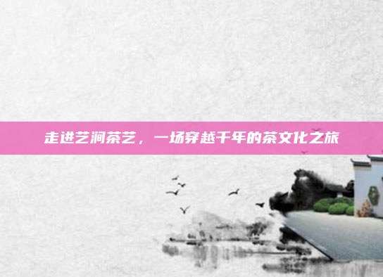 走进艺涧茶艺,一场穿越千年的茶文化之旅
