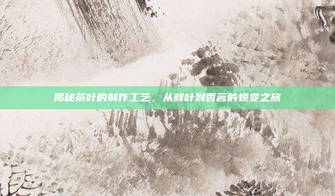 揭秘茶叶的制作工艺,从鲜叶到香茗的蜕变之旅