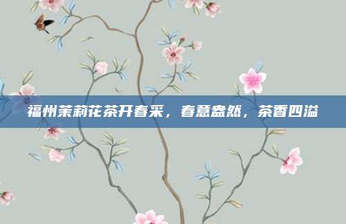 福州茉莉花茶开春采,春意盎然,茶香四溢