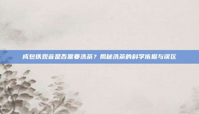成包铁观音是否需要洗茶?揭秘洗茶的科学依据与误区