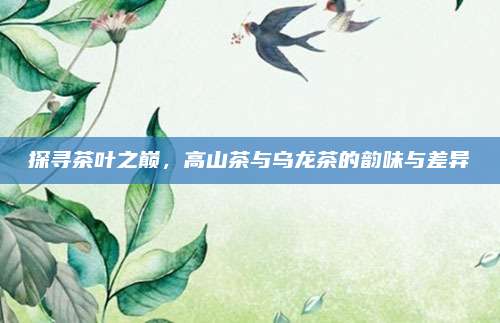探寻茶叶之巅，高山茶与乌龙茶的韵味与差异
