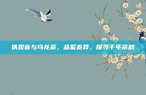 铁观音与乌龙茶，品鉴差异，探寻千年茶韵