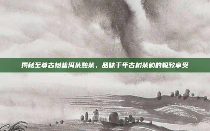 揭秘至尊古树普洱茶熟茶，品味千年古树茶韵的极致享受