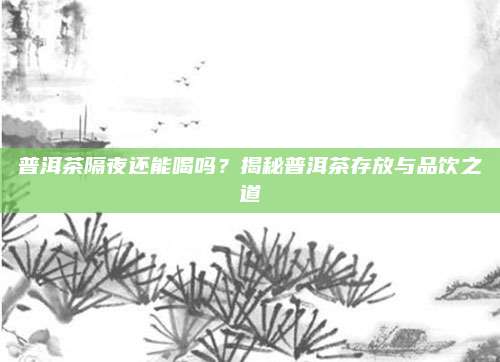 普洱茶隔夜还能喝吗？揭秘普洱茶存放与品饮之道