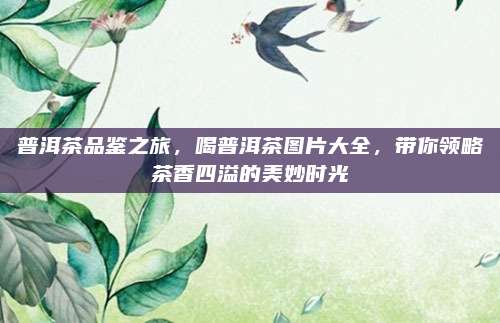 普洱茶品鉴之旅，喝普洱茶图片大全，带你领略茶香四溢的美妙时光