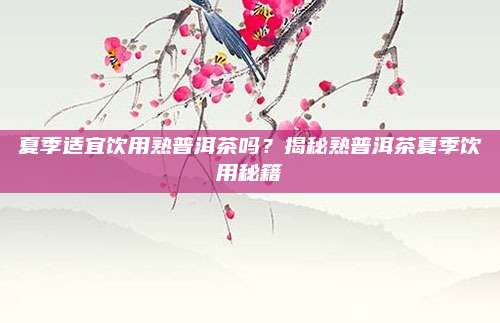 夏季适宜饮用熟普洱茶吗？揭秘熟普洱茶夏季饮用秘籍