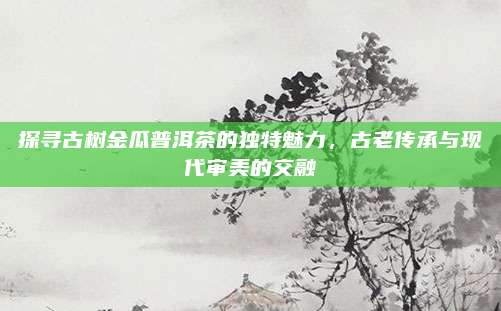 探寻古树金瓜普洱茶的独特魅力,古老传承与现代审美的交融