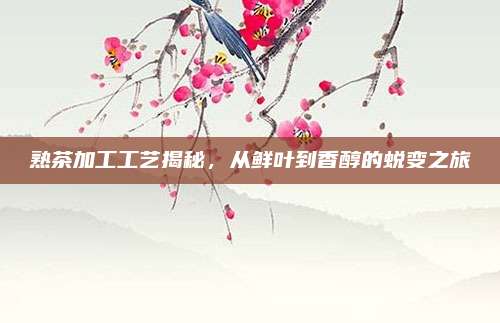 熟茶加工工艺揭秘,从鲜叶到香醇的蜕变之旅