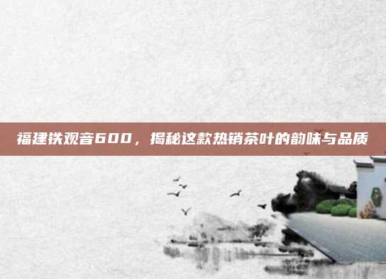 福建铁观音600,揭秘这款热销茶叶的韵味与品质