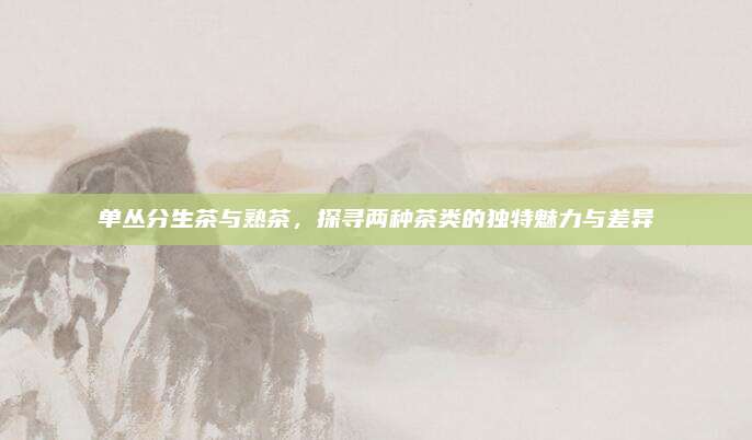 单丛分生茶与熟茶,探寻两种茶类的独特魅力与差异