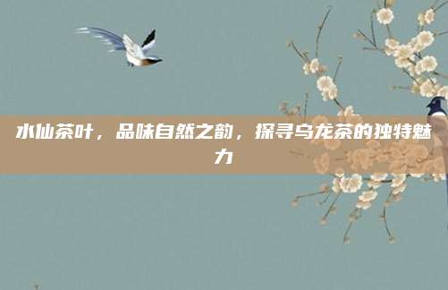 水仙茶叶,品味自然之韵,探寻乌龙茶的独特魅力