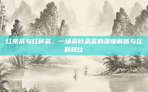 红条茶与红碎茶,一场茶叶品鉴的深度解析与区别对比
