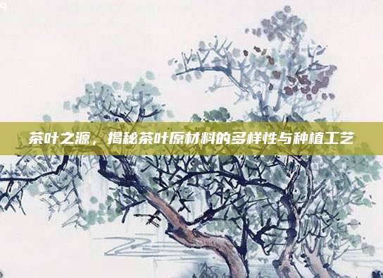 茶叶之源,揭秘茶叶原材料的多样性与种植工艺
