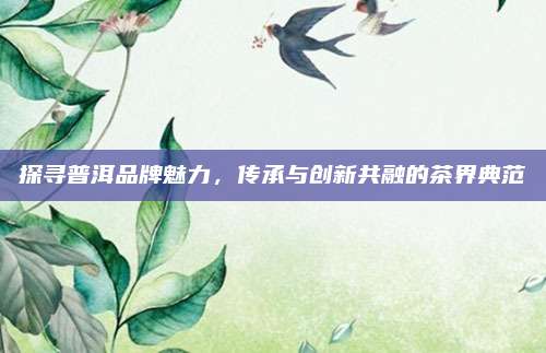 探寻普洱品牌魅力，传承与创新共融的茶界典范