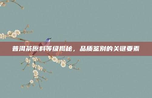 普洱茶原料等级揭秘，品质鉴别的关键要素
