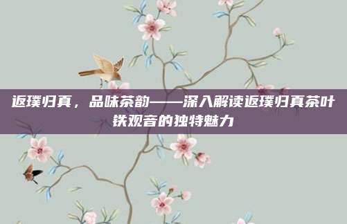 返璞归真,品味茶韵——深入解读返璞归真茶叶铁观音的独特魅力