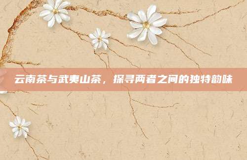 云南茶与武夷山茶,探寻两者之间的独特韵味