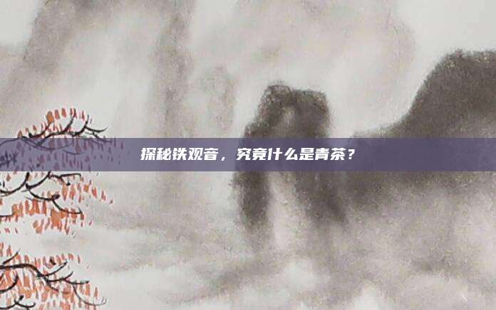 探秘铁观音,究竟什么是青茶?
