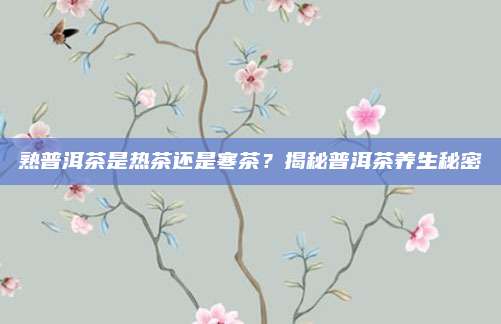 熟普洱茶是热茶还是寒茶?揭秘普洱茶养生秘密