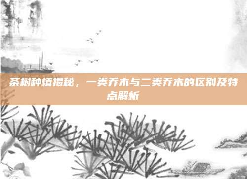 茶树种植揭秘,一类乔木与二类乔木的区别及特点解析